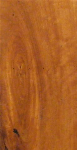 sydney bluegum timber